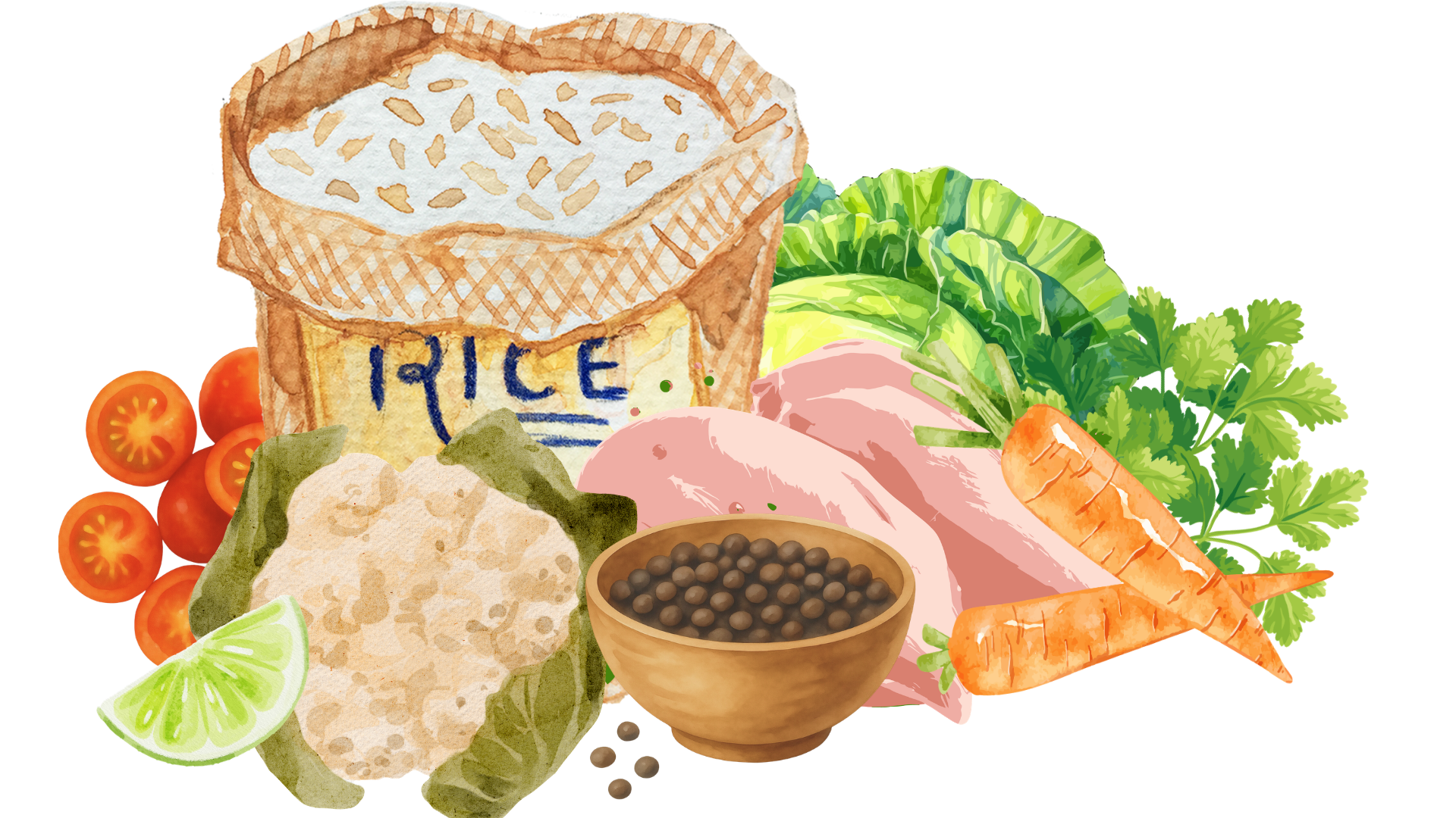 illustration of recipe ingredients with chicken, cilantro, black beans, rice, cherry tomatoes, carrots, and cauliflower