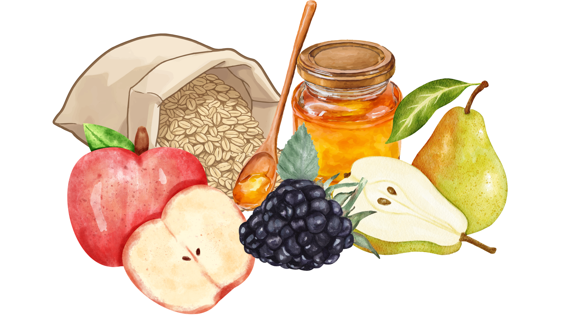 illustration of recipe ingredients with apples, blackberry, pear, honey, and oats